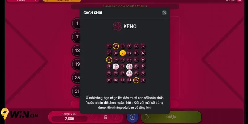 Tận dụng những chiến thuật chơi xổ số Keno tại 9Win